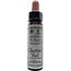 Ainsworths Chestnut Bud Bach 10 Milliliter