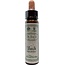 Ainsworths Beech Bach 10ml