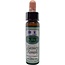 Ainsworths Recovery Remedy 10ml