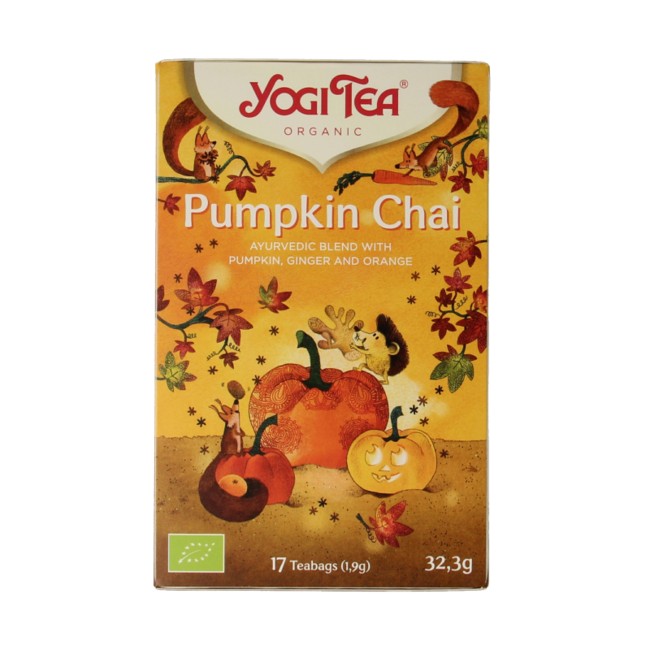 Pumpkin chai bio 17 Zakjes