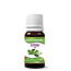 SNP Stevia flüssig 50 Milliliter