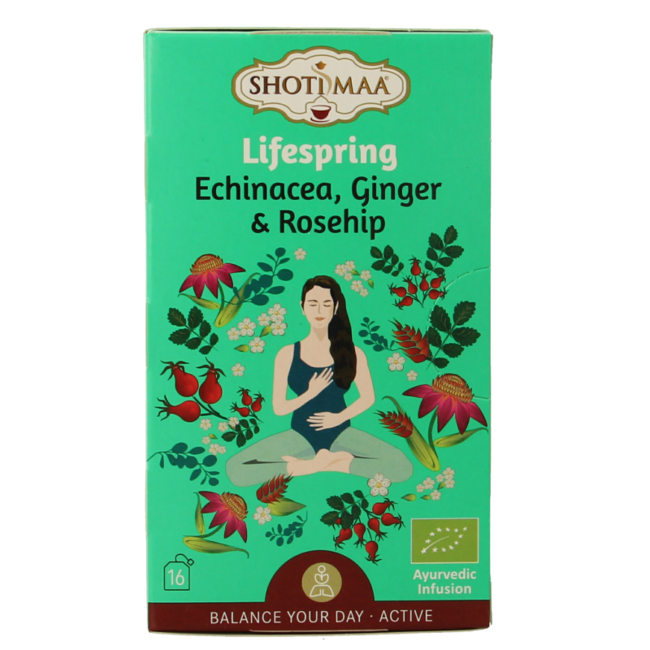 Shoti Maa Lifespring Echinacea, Ingwer & Hagebutte Bio 16 Beutel