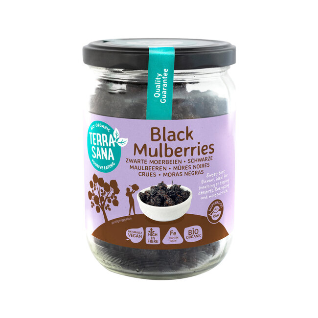 TerraSana Maulbeeren schwarz bio 190 Gramm