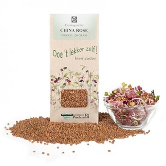 Nasiona na kiełki China Rose bio 120 gram
