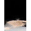 Meenk Zwart wit zout 2 Kilogram