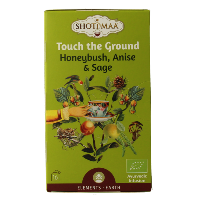 Earth touch the ground bio 16 sachets