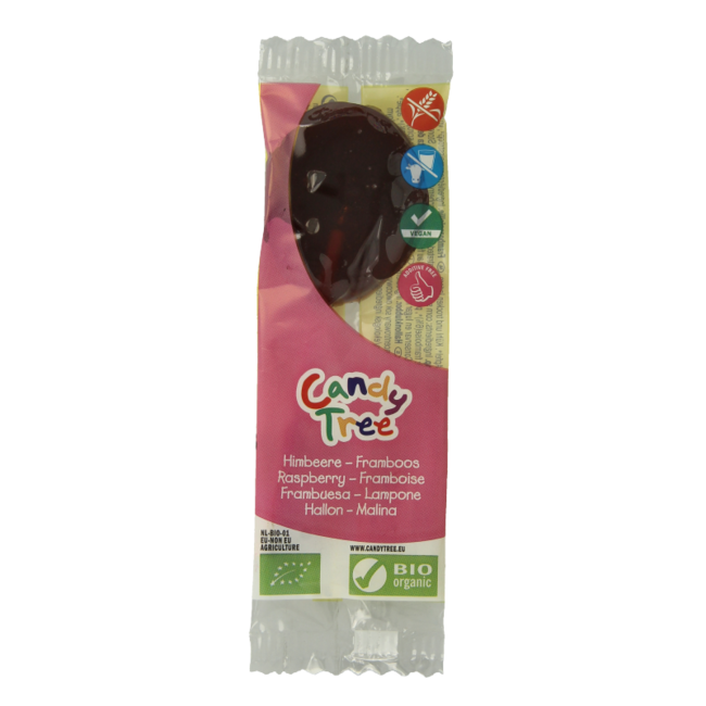 Candy Tree Organic Raspberry Lollipop 1 Piece