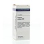 VSM Bryonia cretica d30 10 gramos