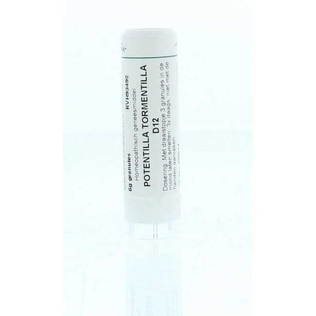 Homeoden Heel Potentilla tormentilla D12 6 Gramm