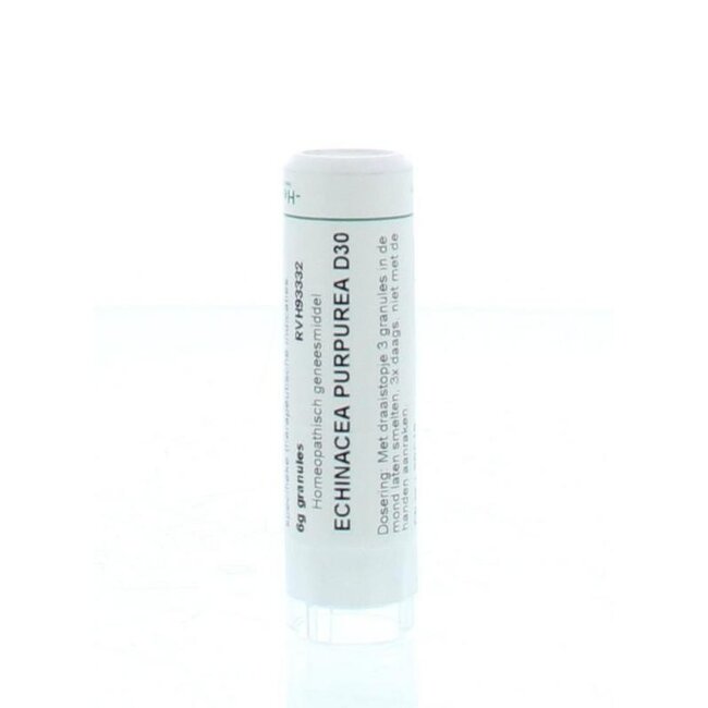 Homeoden Heel Echinacea purpurea D30 6 grammes