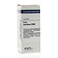 VSM Cina maritima 200K 4 Grammes