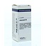 VSM Jaborandi D3 10 Grammi