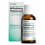 Belladonna-Homaccord 30 mililitrów