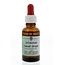 Surya Pinasnas nasal drops 30 Milliliter