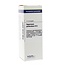 VSM Hypericum perforatum D12 20 Millilitre
