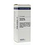 VSM Equisetum arvense D6 20 Millilitri