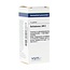 VSM Belladonna LM12 4 Gramm