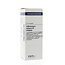 Berberis vulgaris D3 20 ml