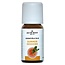 Olio Jacob Hooy Summer Sessions 10 Millilitri