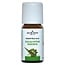 Jacob Hooy Aceite de Eucalyptus radiata 10 ml