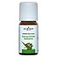 Jacob Hooy Eucalyptus radiata olie 10 Milliliter
