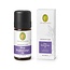 Primavera Aromacare Begleitöl Bio 10 Milliliter