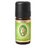 Primavera Cedarwood Wild Organic 10ml