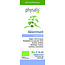 Physalis Menthe des champs bio 10 ml
