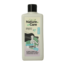 Champú para cabello graso 500 ml