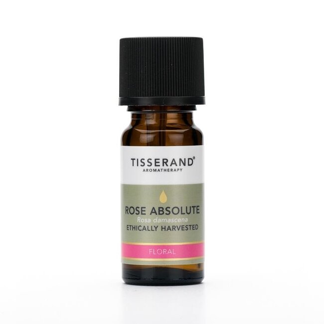 Tisserand Rose Absolute (Rosa damascena) Essential Oil 2ml