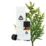 Chi Thuja selvatica 10 Millilitri