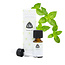 Chi Ackerminze China Cult 10 Milliliter