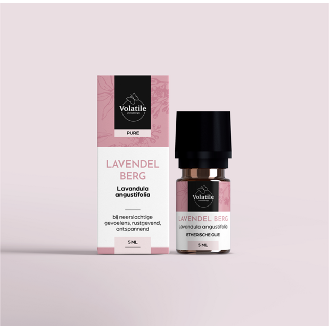 Volatile Berg-Lavendel 5 Milliliter