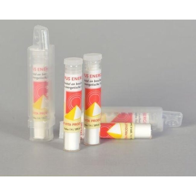 Corpus Energeticus version plastique 1 pièce