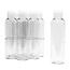 PET-Flasche 100 ml mit Klappverschluss, 10 Stück