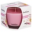Bolsius True Scents Duftglas 95/95 Magnolie, 1 Stück