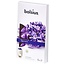 Bolsius True Scents Wachsmelts Lavendel, 6 Stück