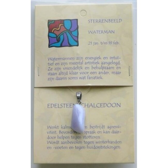 Ciondolo in Pietra Zodiacale Steengoed Acquario (1 Pezzo)