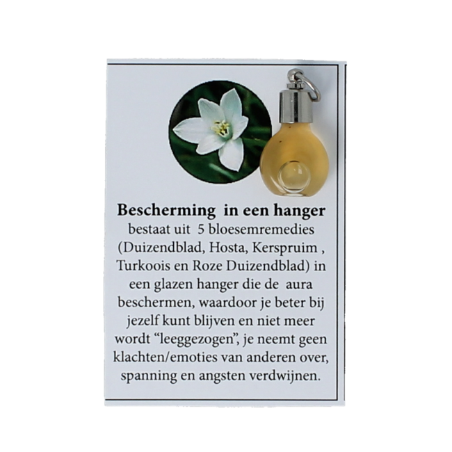 Anhänger mit Schutz, 1 Stück