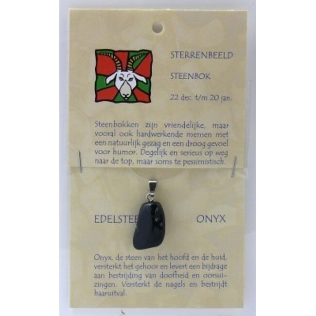 Colgante de piedra del zodiaco Capricornio Steengoed 1 unidad