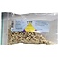 Clark Hydrangea officinalis 25 Gram
