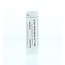 Homeoden Heel Bellis perennis 30CH 6 Gram