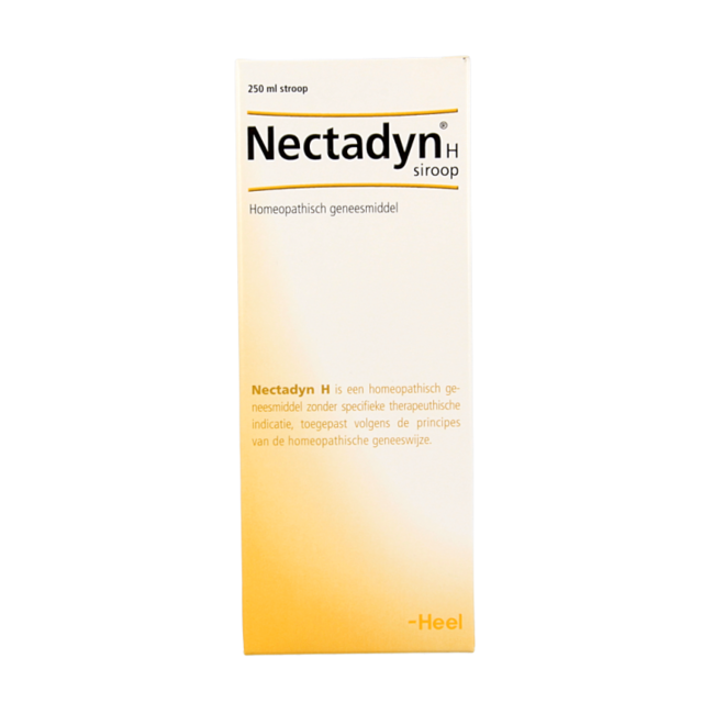 Nectadyn H Sirup 250 Milliliter