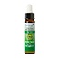Ladrome Holzapfel/Apfelbaum 33 bio 10 Milliliter
