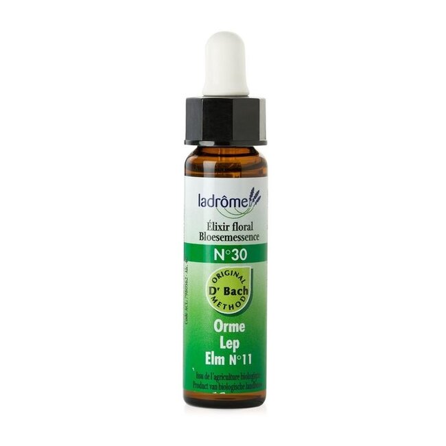 Ladrome Elm 30 Organic 10ml