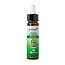 Ladrome Ulme/Iep 30 Bio 10 Milliliter