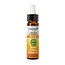 Ladrome Noyer 28 bio 10 ml