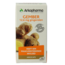 Gember 45 Capsules