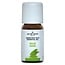 Jacob Hooy Sage Oil 10ml