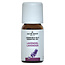 Lavendel olie 10 Milliliter